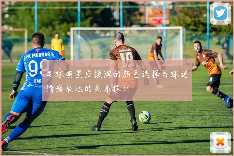 足球明星应援牌的颜色选择与球迷情感表达的关系探讨
