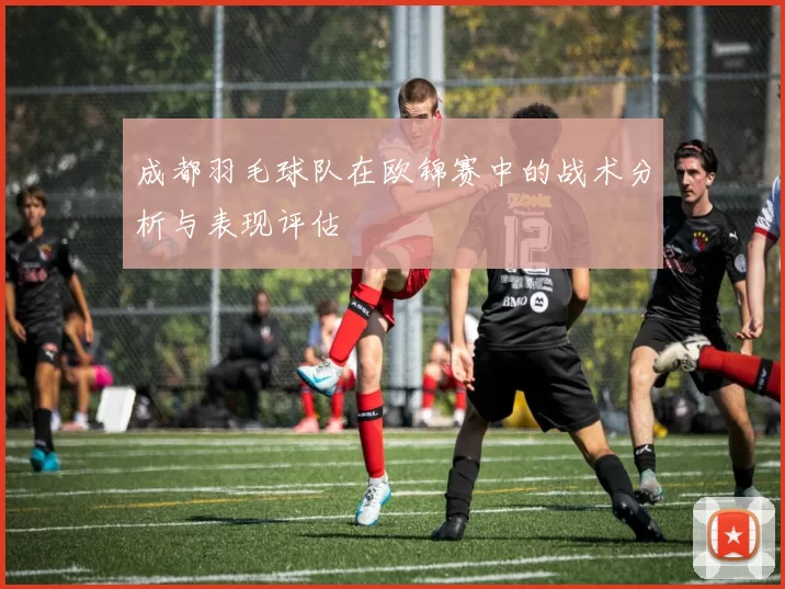 成都羽毛球队在欧锦赛中的战术分析与表现评估