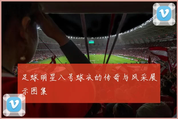 足球明星八号球衣的传奇与风采展示图集