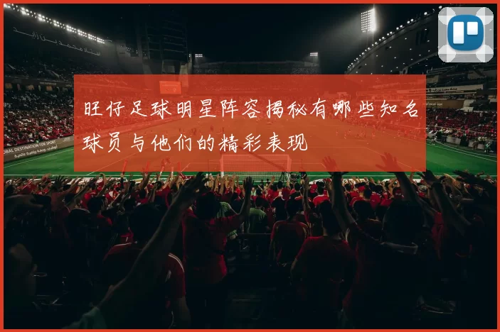 旺仔足球明星阵容揭秘有哪些知名球员与他们的精彩表现
