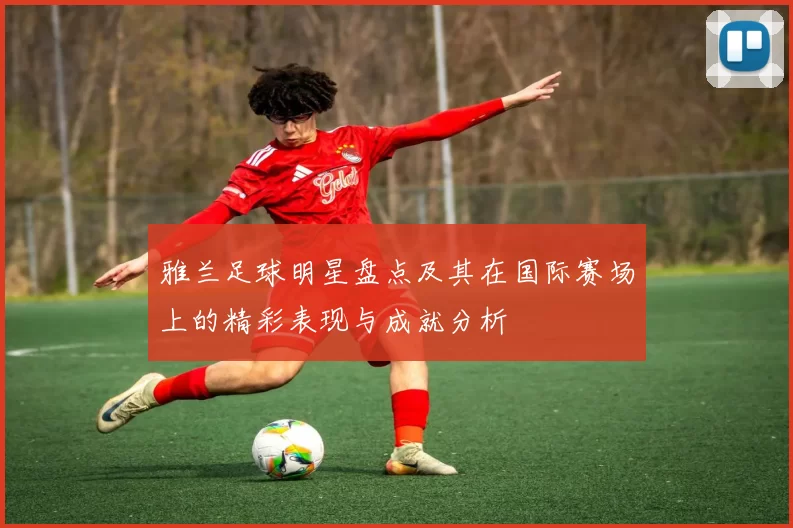 雅兰足球明星盘点及其在国际赛场上的精彩表现与成就分析