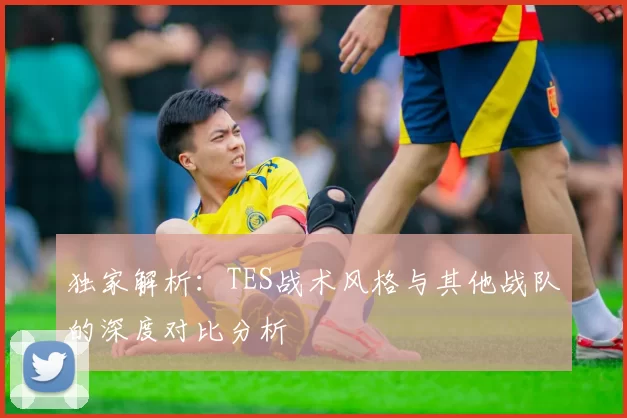 独家解析：TES战术风格与其他战队的深度对比分析