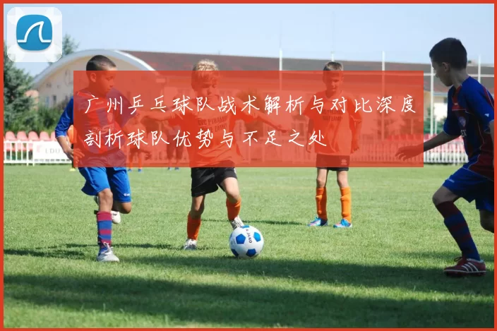 广州乒乓球队战术解析与对比深度剖析球队优势与不足之处