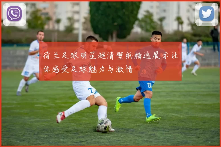 荷兰足球明星超清壁纸精选展示让你感受足球魅力与激情