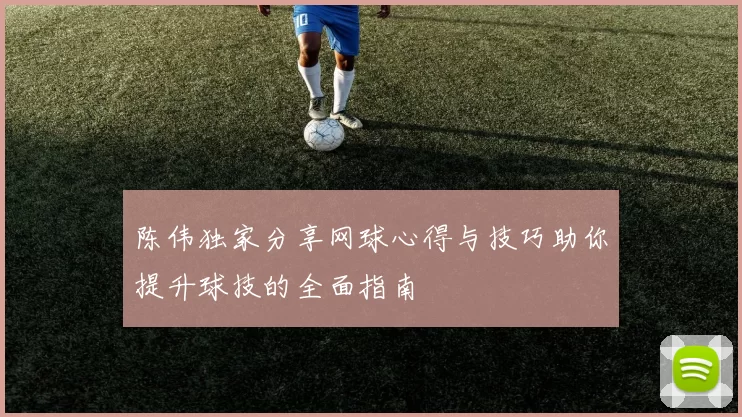 陈伟独家分享网球心得与技巧助你提升球技的全面指南
