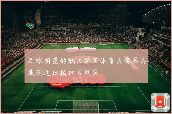 足球明星的魅力瞬间体育头像图片展现运动精神与风采