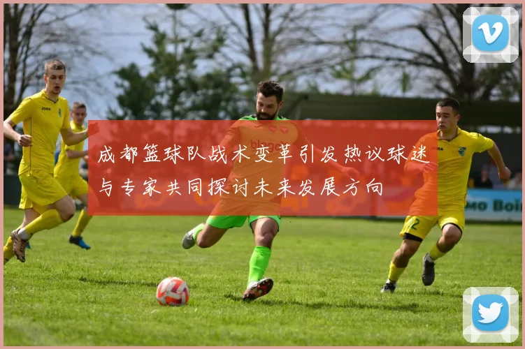 成都篮球队战术变革引发热议球迷与专家共同探讨未来发展方向