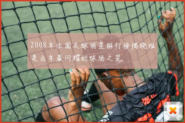 2008年法国足球明星排行榜揭晓谁是当年最闪耀的球场之星
