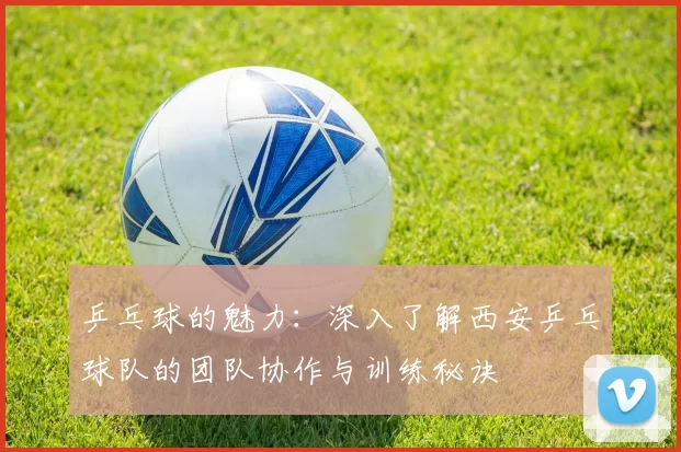 乒乓球的魅力：深入了解西安乒乓球队的团队协作与训练秘诀