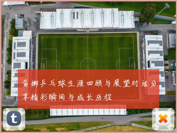 黄娜乒乓球生涯回顾与展望对话分享精彩瞬间与成长历程