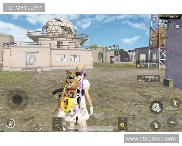 与陈丽对话探讨和平精英的成长历程与未来展望