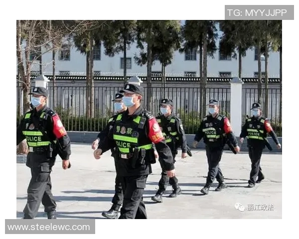 独家解析：上海飞盘队与其他队伍技术特点的全面对比分析