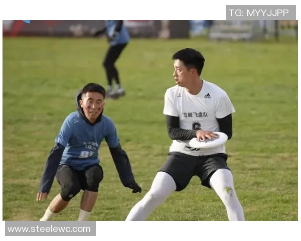 北京飞盘队运营分析：成功经验与面临挑战的深度探讨