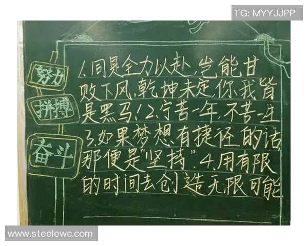 深度对话：赵伟在篮球场上的奋斗与梦想之旅